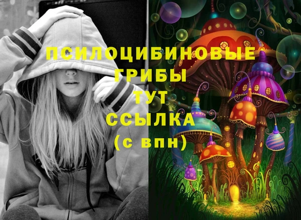 мяу мяу мука Верея