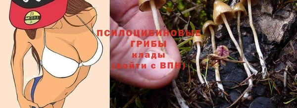 спайс Волоколамск
